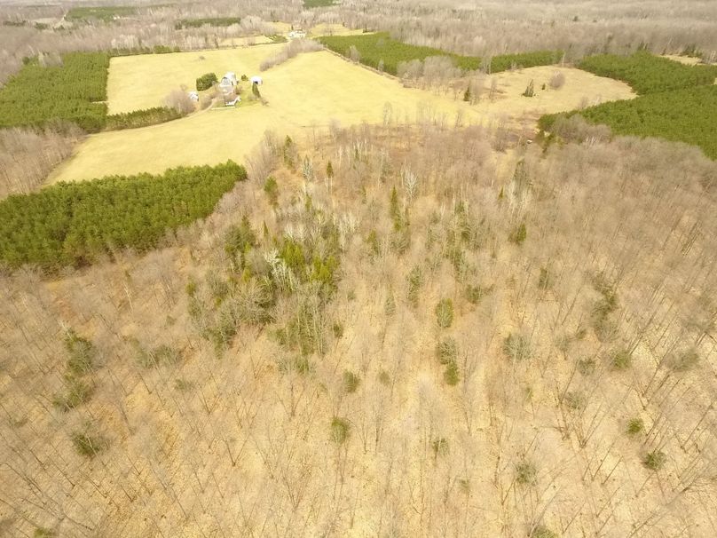 12 neighboring farmland