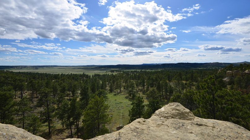 Yellowstone 1280 pic 6