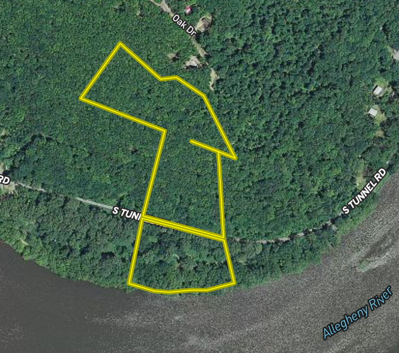 Screen shot 2020-05-08 at 9.54.53 am