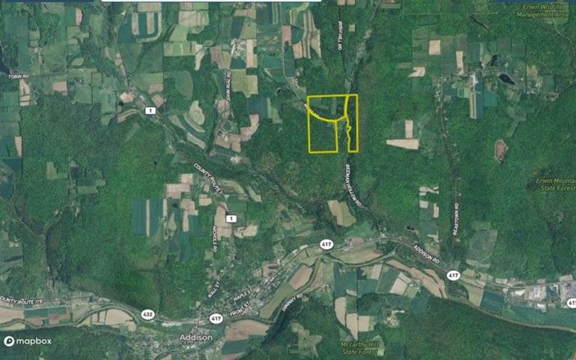 Scanlon 153 steuben  far