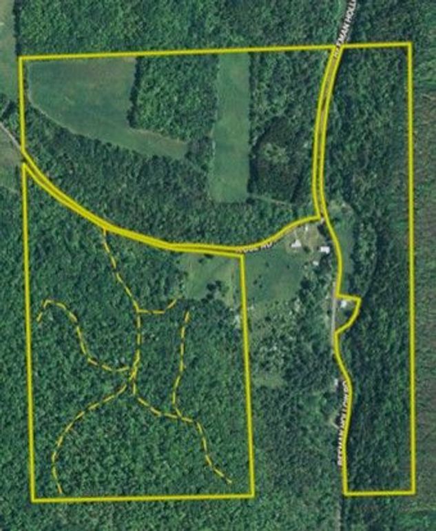 Scanlon south section trails