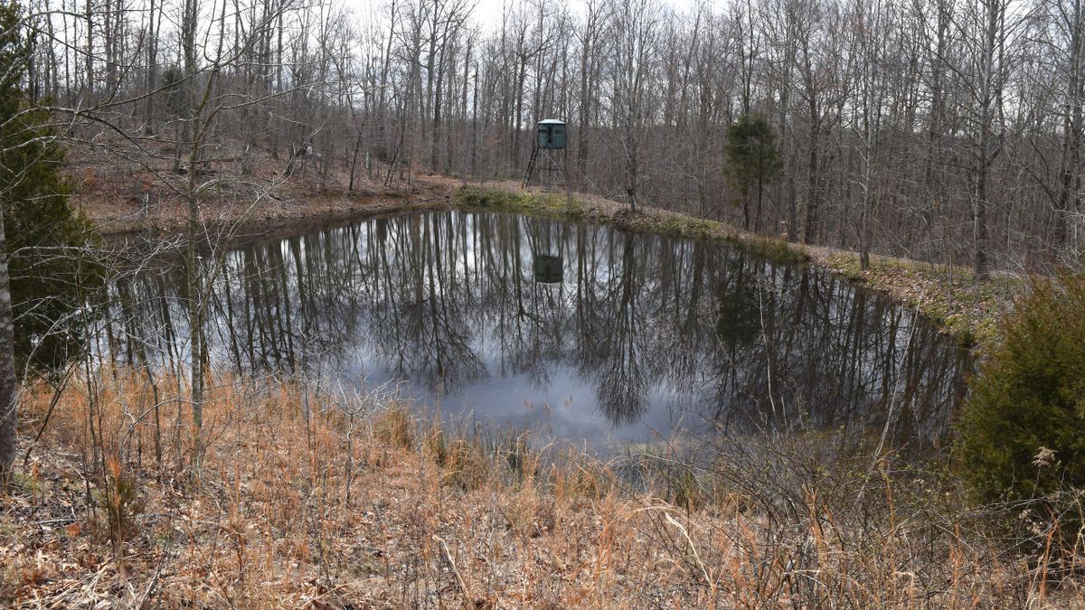 Ultimate Large Hunting Tract Near Vanceburg In Northeast KY Whitetail
