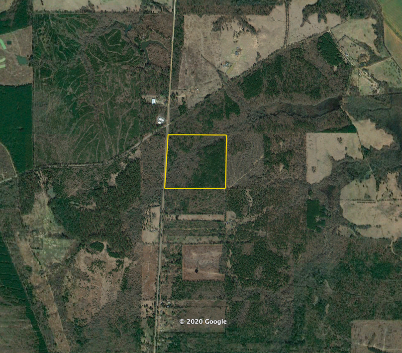 Screen shot 2020-03-26 at 9.19.05 pm