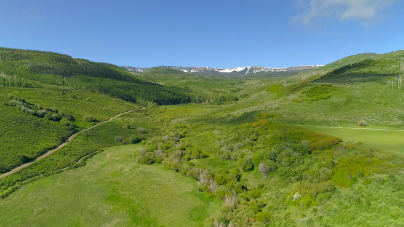 B712d6cf-a8a7-45b5-b1a7-2a438d3ae368