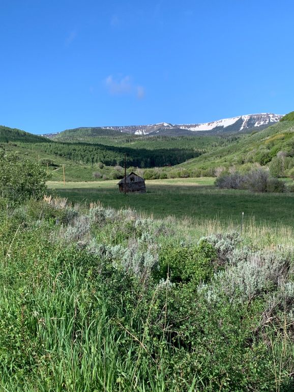 B32ae9b1-99b1-43e0-a21d-0be2e0a016b1