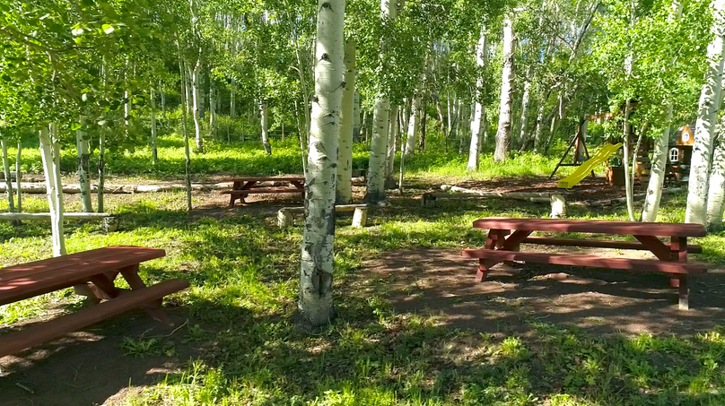 B36aaa79-2cab-4ec5-a5b1-60c1a95b9609