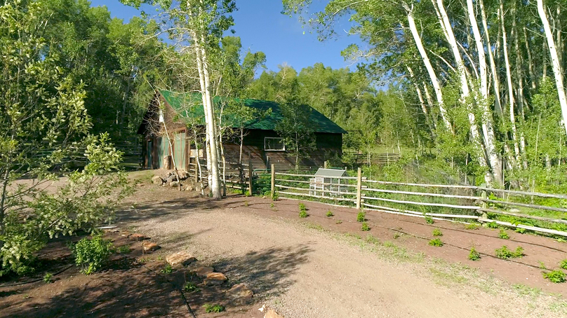 Bbd8d6db-9173-4ec5-8c23-0d2a32140e13