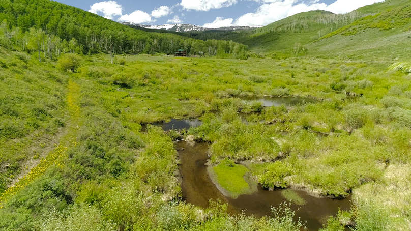 C521e8ae-ecfb-4c6a-8bfc-5559bab04e6a