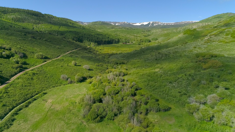 D5b42a39-93f8-4729-a3c7-b4f3552ccb74