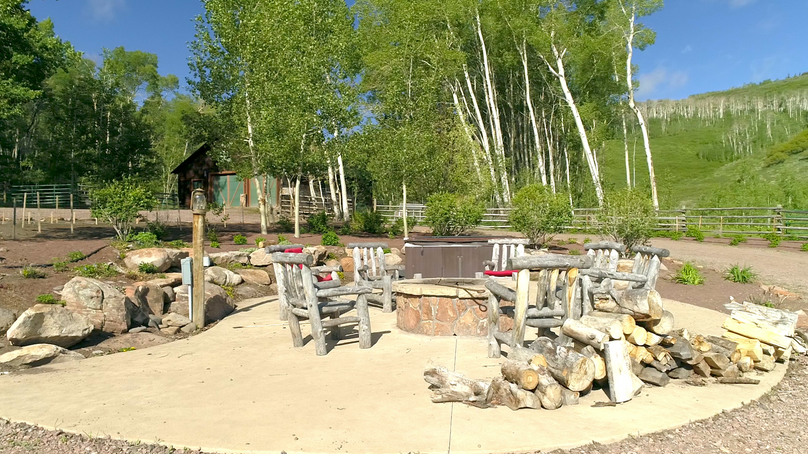 D81476a5-d964-453e-8b9e-fbb66a3f6aa4