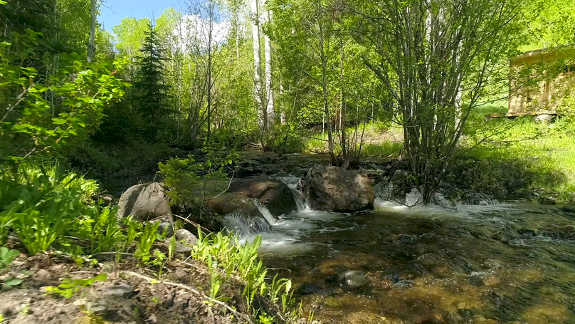 D8532873-c87e-45d2-a0e7-30cec878dcf3