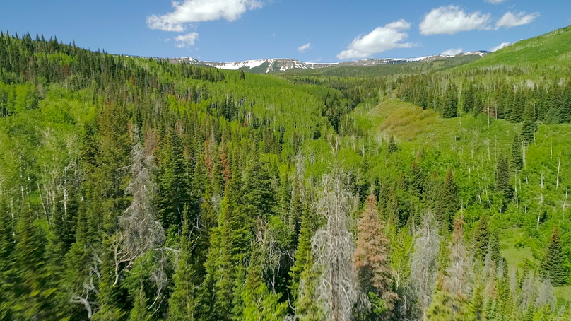 D9eebb4b-07f8-4339-ac3a-24fec58683d3