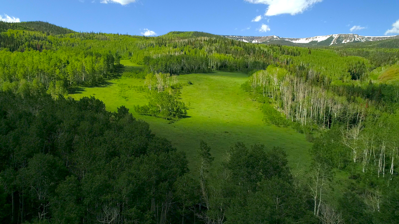 E7c87a80-c351-4d5a-a2ef-8d3337fdff9d