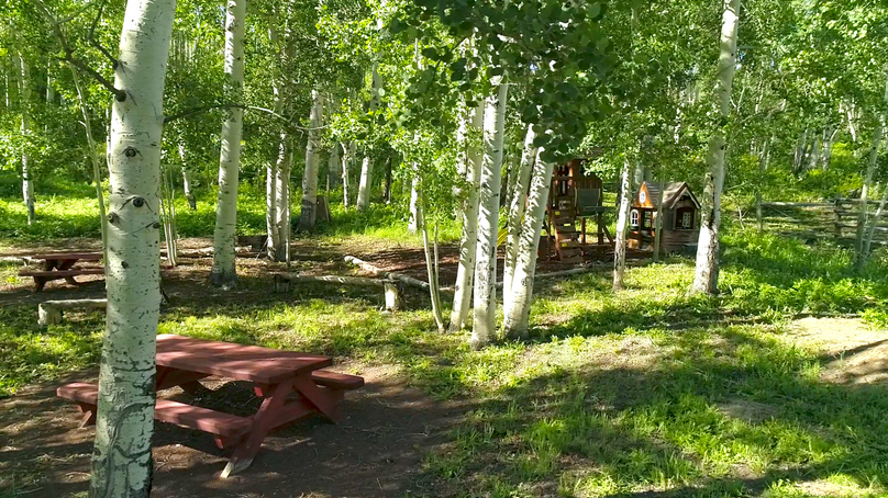 E04e1a68-0c47-4d65-93ae-f4bd9d9b5c13