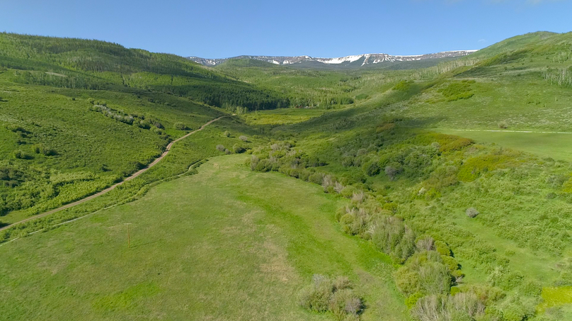 F67350a9-a624-4407-9d7b-8b2dd81e1d6d