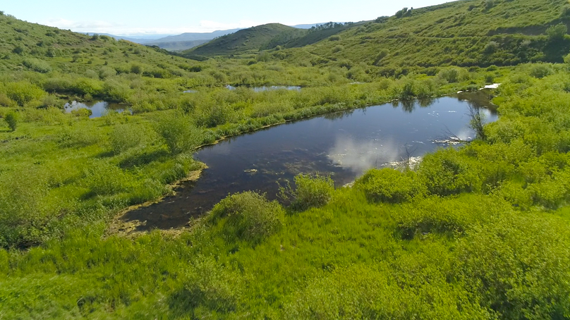 0842d019-73dc-4249-a5bc-e0312c940b01