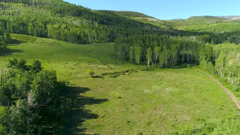 027d93d9-c52f-4743-baeb-1768173770ee