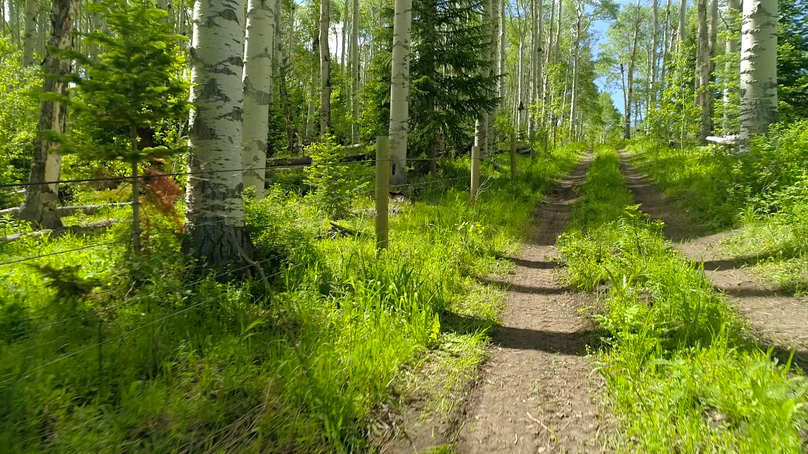 19738873-757c-4bcd-a5a5-e1a9ab8fa66a