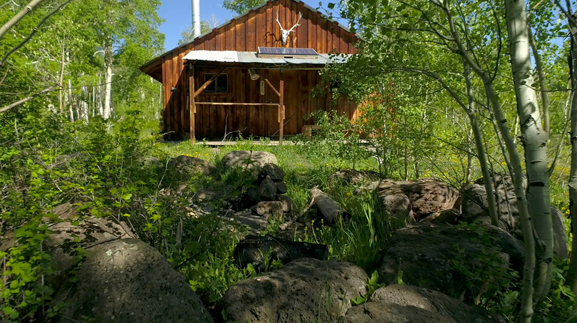 1f27414c-8e7c-4deb-9897-d96b7d0643ef