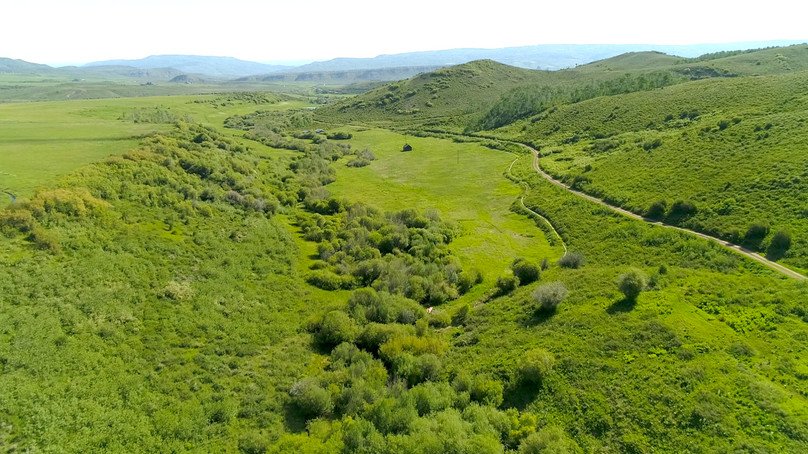 20b728cb-f808-41c8-b665-e02f35bceef3