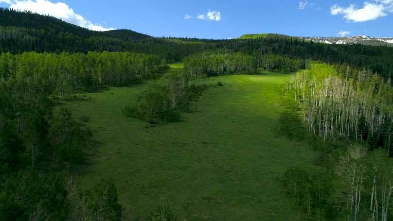 2302f4ee-e365-482e-b9d1-092a12339d9f