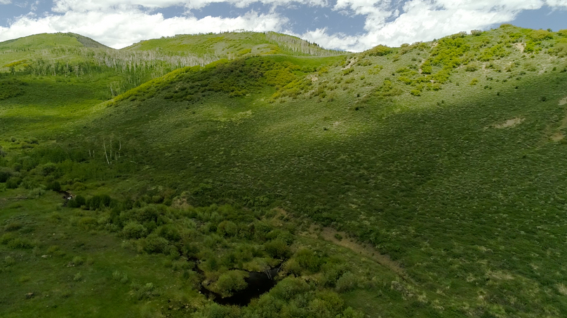 2a1642e6-13ad-4822-9317-a0442c1b2689