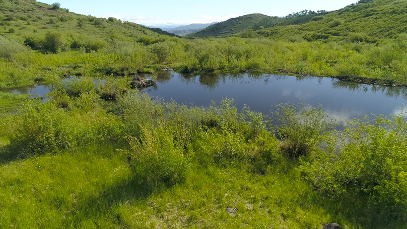 2b1628d8-67de-4cc2-8e09-3f3826f6cfa4