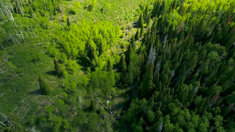 308b6319-d1f2-41aa-9d9f-f2e7a29cc750