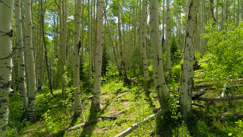 475f4a5c-a36f-45fe-8dbe-1847884742bb