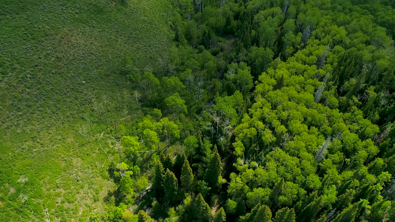 40a1c2e3-1205-4867-ac50-99ca851d1b91