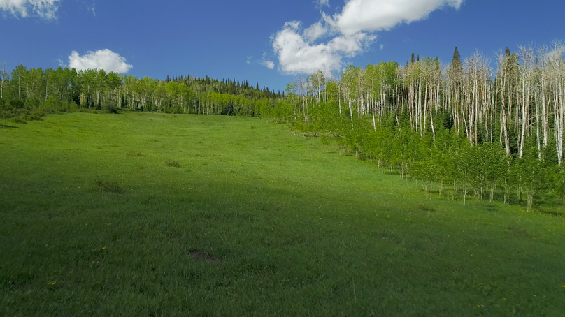 42750412-140f-4218-b67b-8e526a5ed6f3