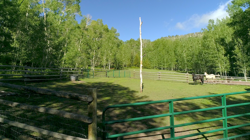 4326bc26-8e59-4404-a161-8bfd241d2971