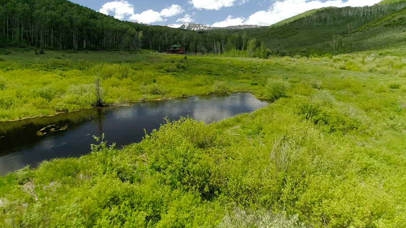 4adf9798-083b-4d89-9e73-cd3cf27b5d5b