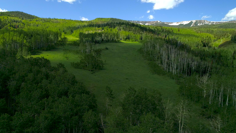 55a18237-b3bb-4532-bb52-8ab29f265520