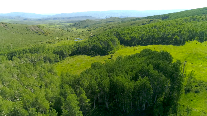 56093e92-1ad1-44d7-9887-a1e8faaa5df5