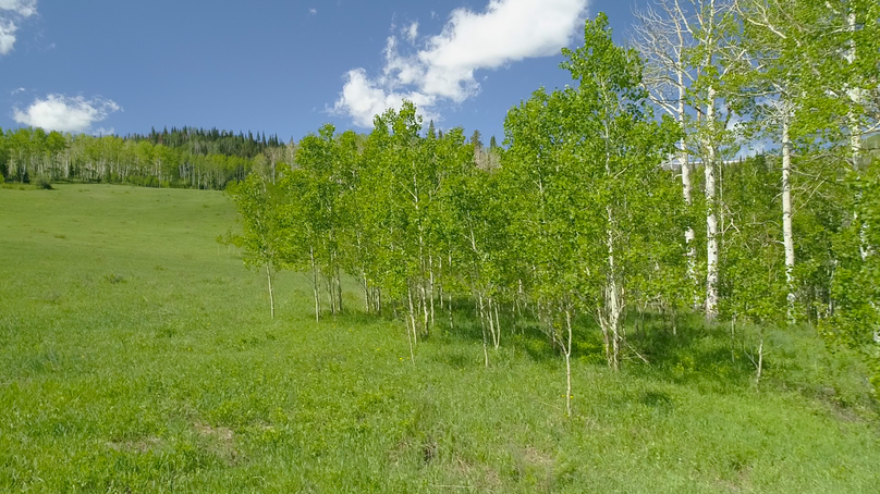 5d36e2ea-6f44-42c6-806c-db7844ca4387