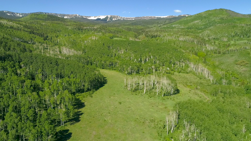 6f4b927d-cd90-49d4-8e0c-12a9c8a43bf7