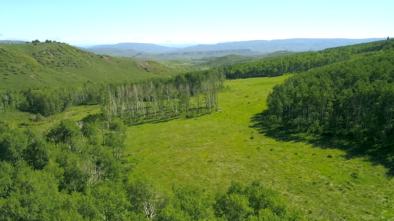 74305354-9d3e-4292-8b28-b65106b32a11