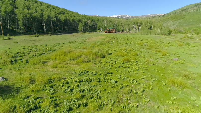 78f36733-1314-43a9-9829-02f955e8503c