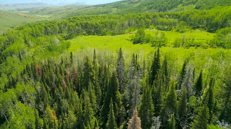 883e8097-0b2c-4056-9257-f832f214a82d