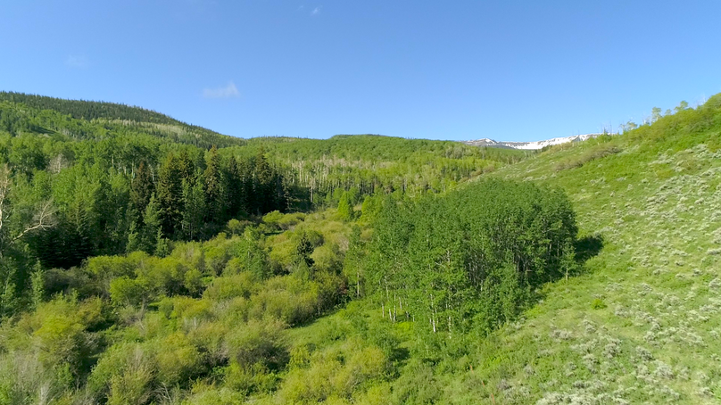 8ac18ac5-27dc-4e16-ba96-f2e4f8c50a79