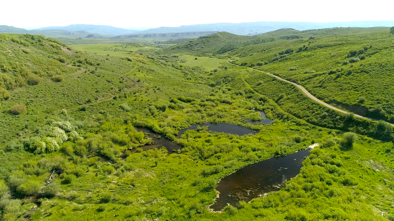 962d99b0-267e-4dcf-99f7-61c933a64630