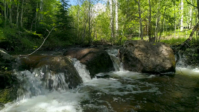 9879b33d-1e7c-4e4c-9fd1-b7fb526b9fb3