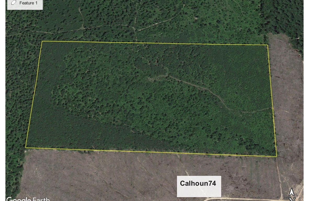 Calhoun741 copy