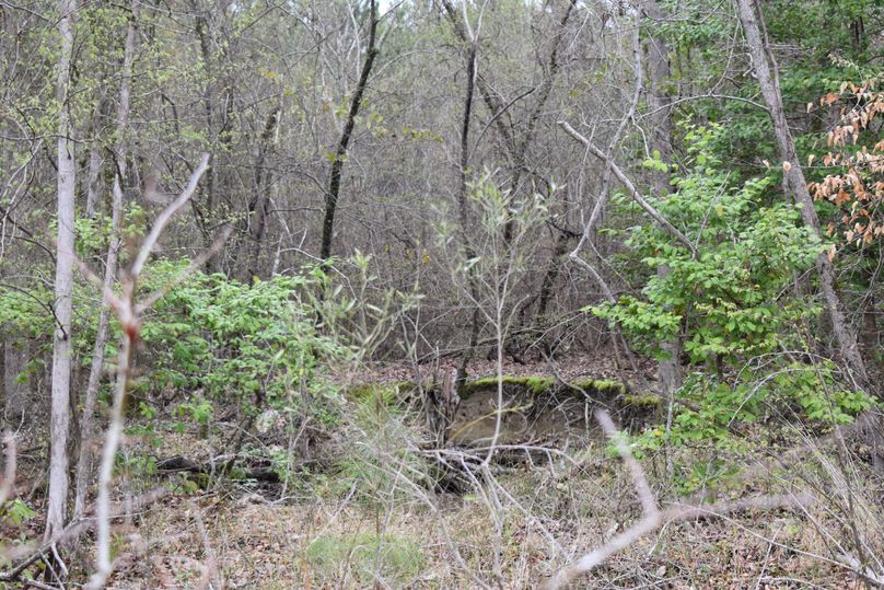 Dsc 0084
