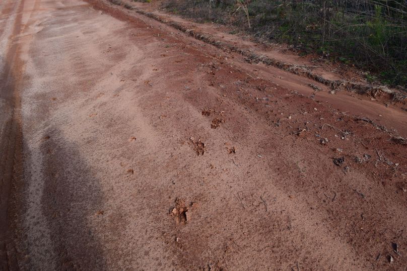 44 big buck tracks on leary road