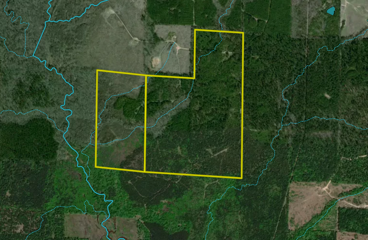 Screen shot 2021-05-18 at 3.09.32 pm