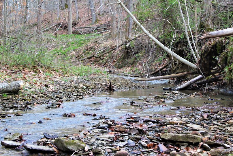 003 beautiful mountain stream flowing down the valley to the south