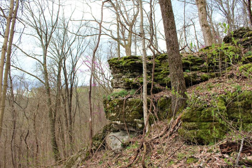 001 beautiful moss covered limestone rock face