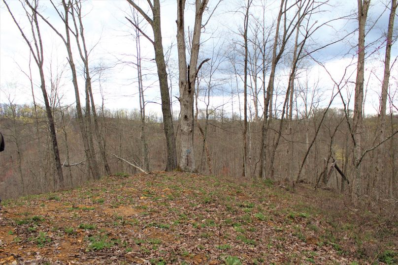 004 cleared out point along the western area of the property